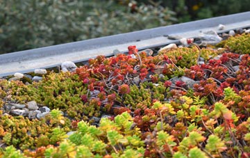 the cost of Great Preston green roof installation