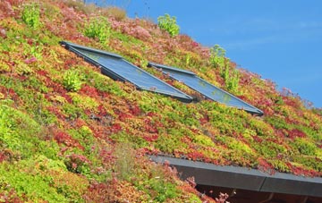 Great Preston living roof systems